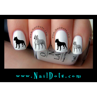 American Staffordshire Terrier Nail Decal