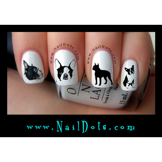 Boston Terrier Nail Decal CLEARANCE