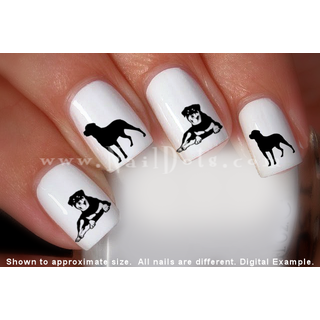 Rottie Nail Decal