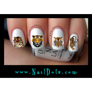 Tiger Nail Decal